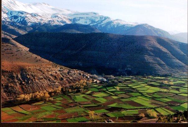 Tabant Riad La Fibule Berbere מראה חיצוני תמונה